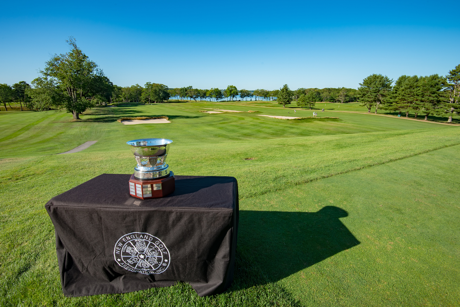 New England Golf Association trophy sitting on a black table in the middle of a golf course.
