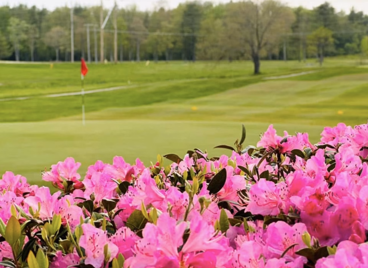 Mixed Championship at Dutch Elm GC